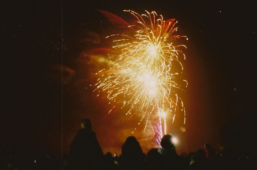 Happy Daisy 35mm Film Photography Fireworks Guy Fawkes