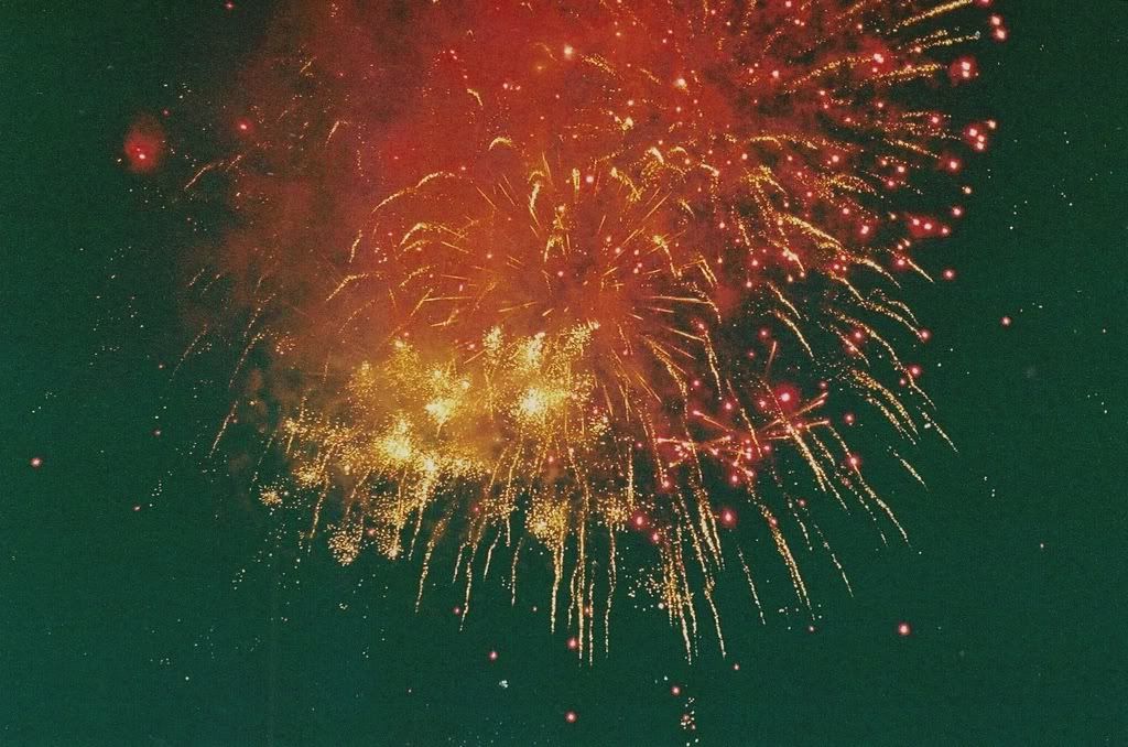 Happy Daisy 35mm Film Photography Fireworks Guy Fawkes