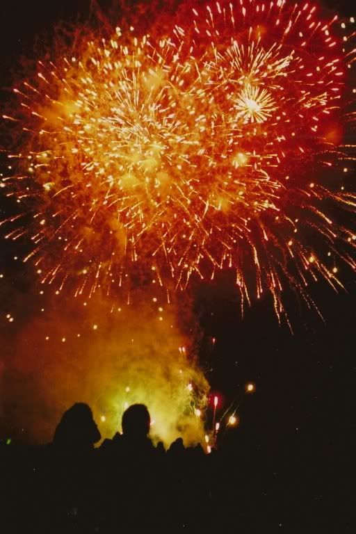 Happy Daisy 35mm Film Photography Fireworks Guy Fawkes