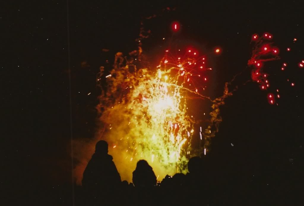 Happy Daisy 35mm Film Photography Fireworks Guy Fawkes