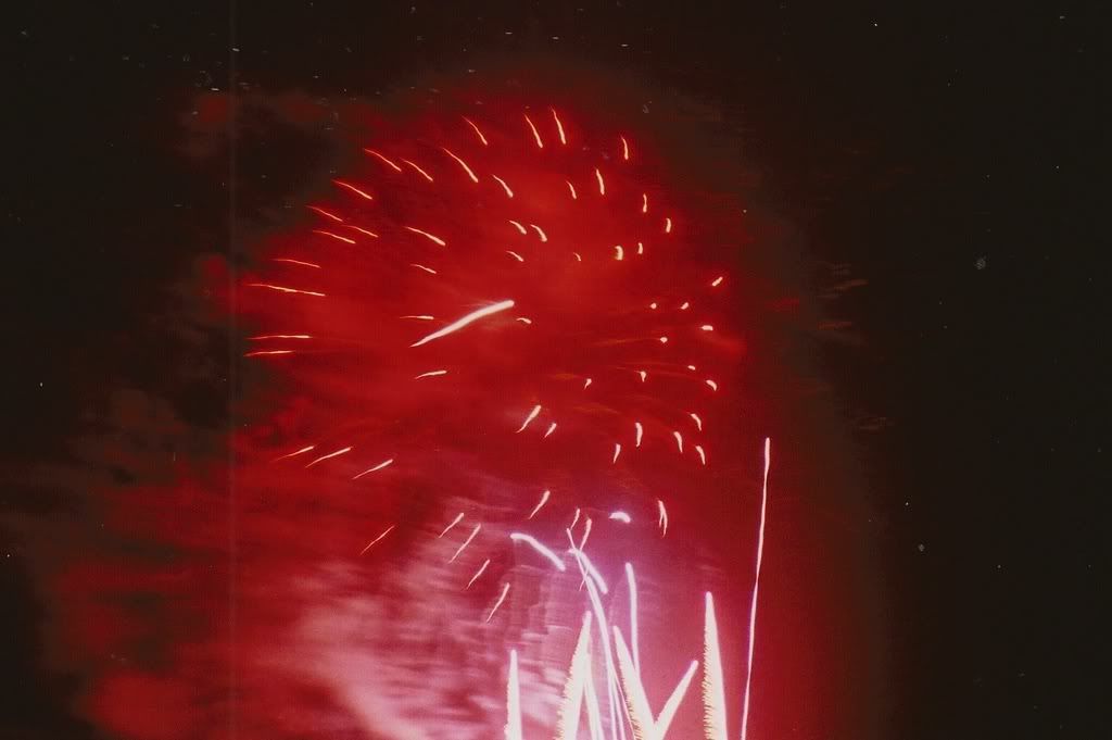 Happy Daisy 35mm Film Photography Fireworks Guy Fawkes