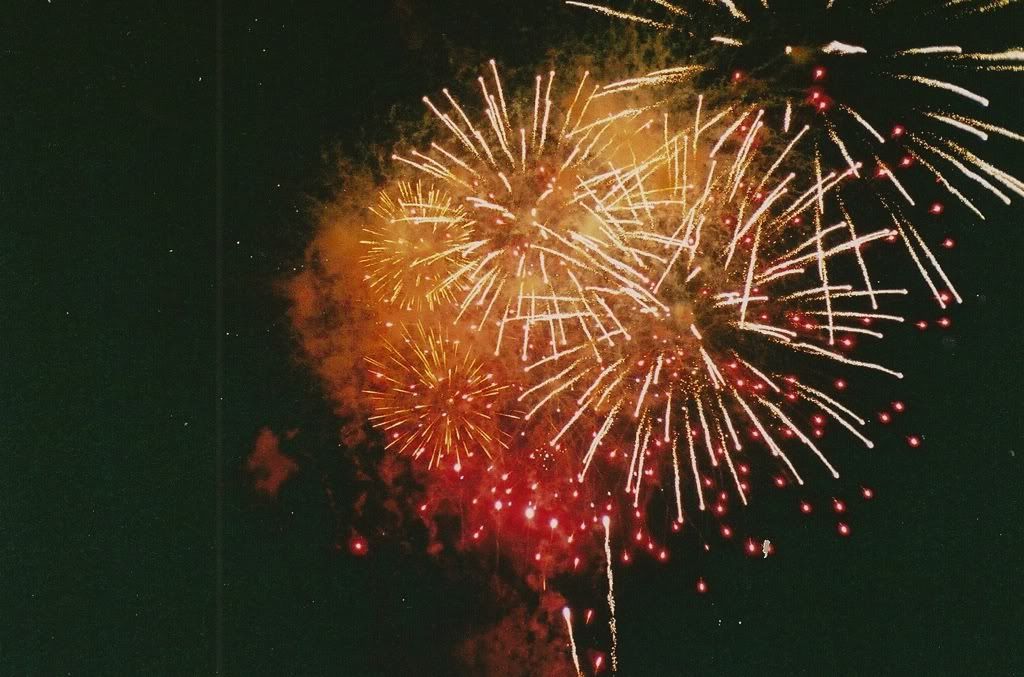 Happy Daisy 35mm Film Photography Fireworks Guy Fawkes