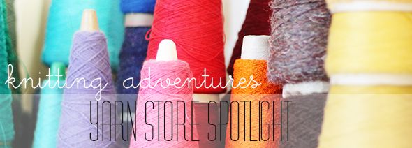 Happy Daisy Yarn Store Spotlight Amy Edwards Green Knitting Wool Knitting Adventures
