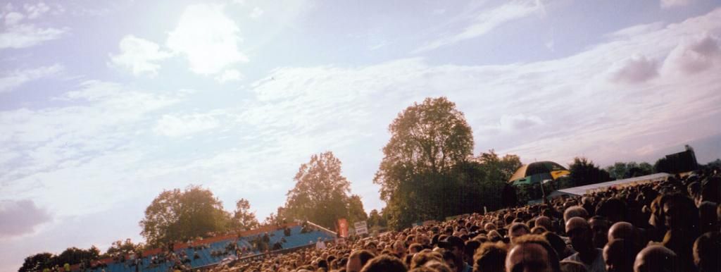 Happy Daisy Amy Edwards Green APS Photography Film Summer 2012 Bruce Springsteen Hard Rock Calling Sunset