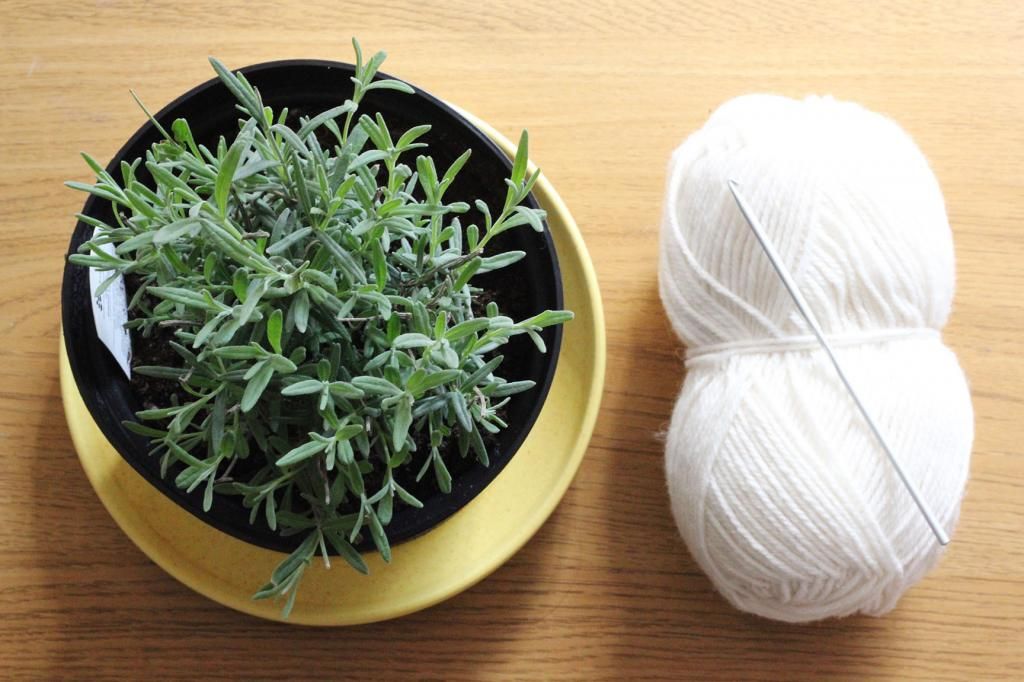 Happy Daisy Crochet DIY Tutorial Flower Pot