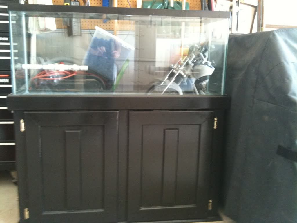 photo - 55 Gallon Tank
