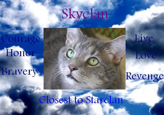 Skyclan Camp