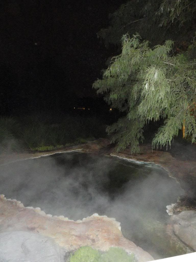 WDW2011093.jpg