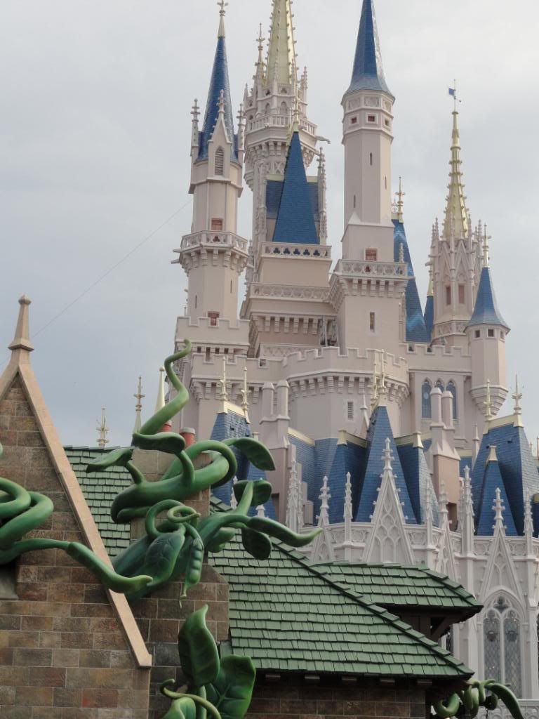 WDW2011144.jpg