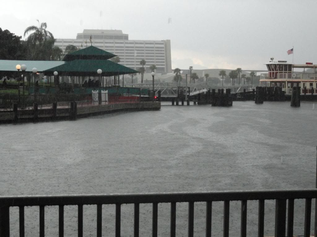 WDW2011148.jpg