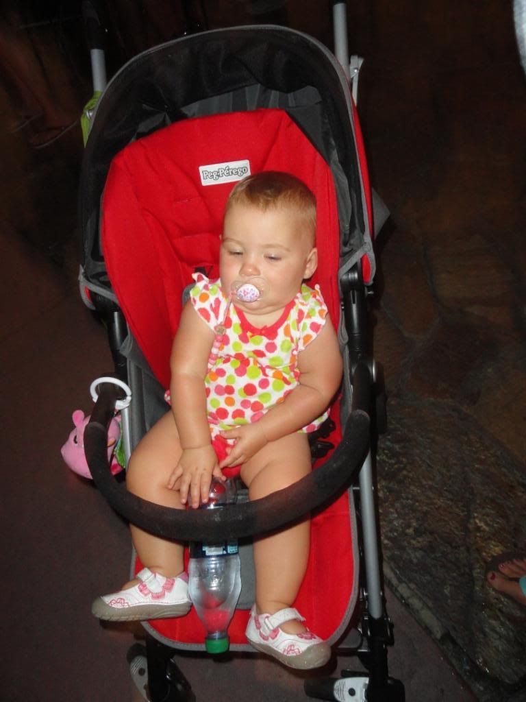 WDW2011214.jpg