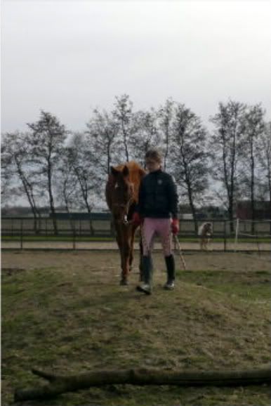 Afbeelding