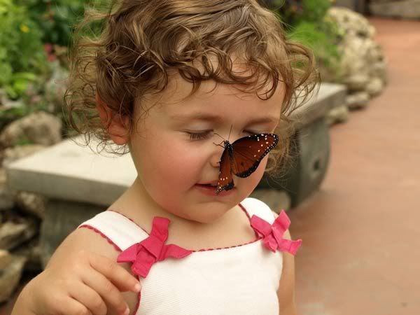 child and butterfly photo: child and butterfly Butterfly-sitting-on-Baby-Girl-Nose.jpg