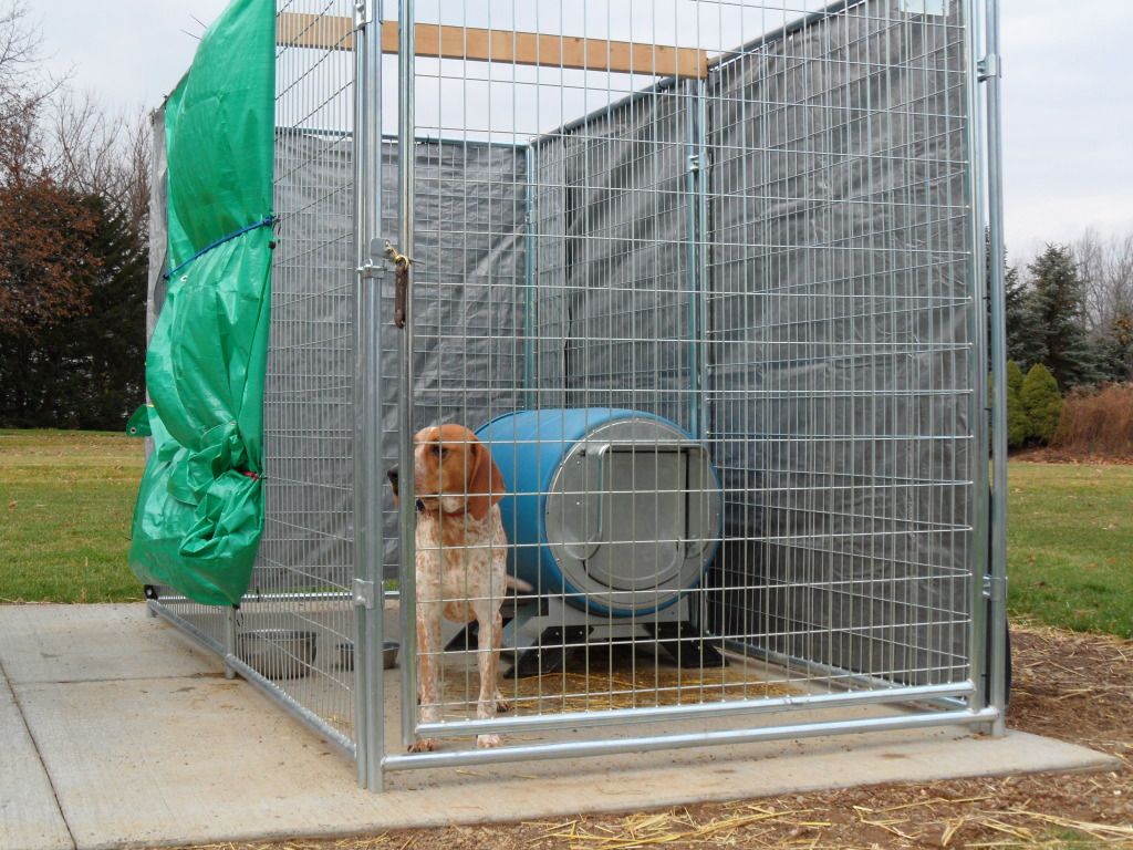are plastic barrels good for dog houses