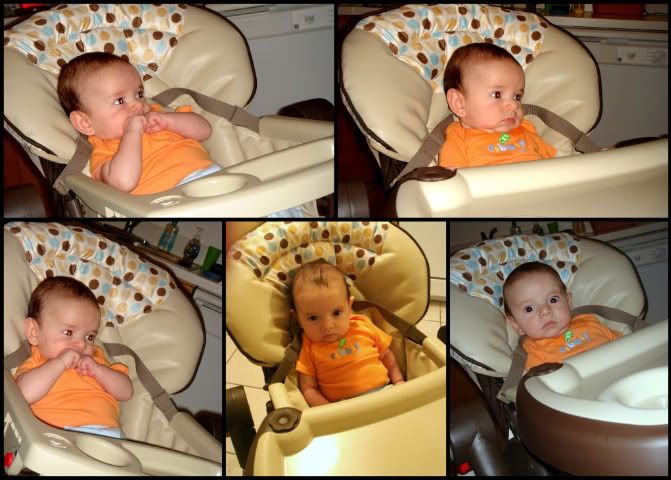 Highchair-B