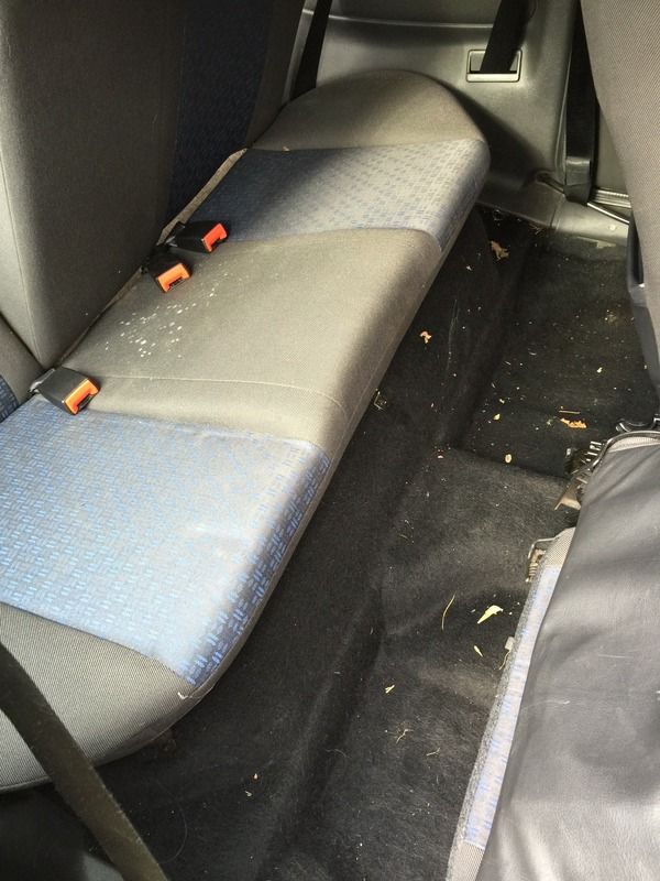 Extremely mouldy seats Detailing World Forum