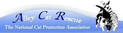 Alley Cat Rescue