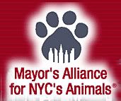 NYC Mayor's Alliance