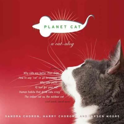 Planet Cat 