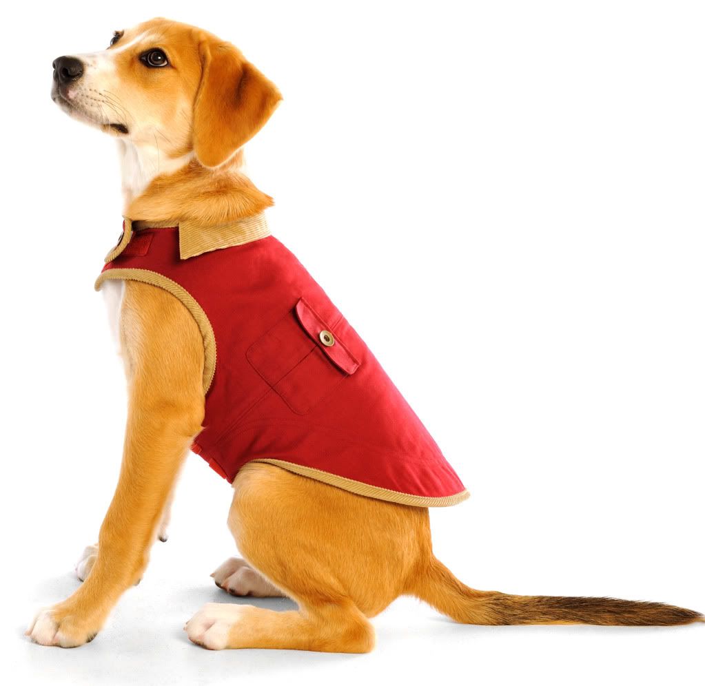 Dog Gone Smart Jacket