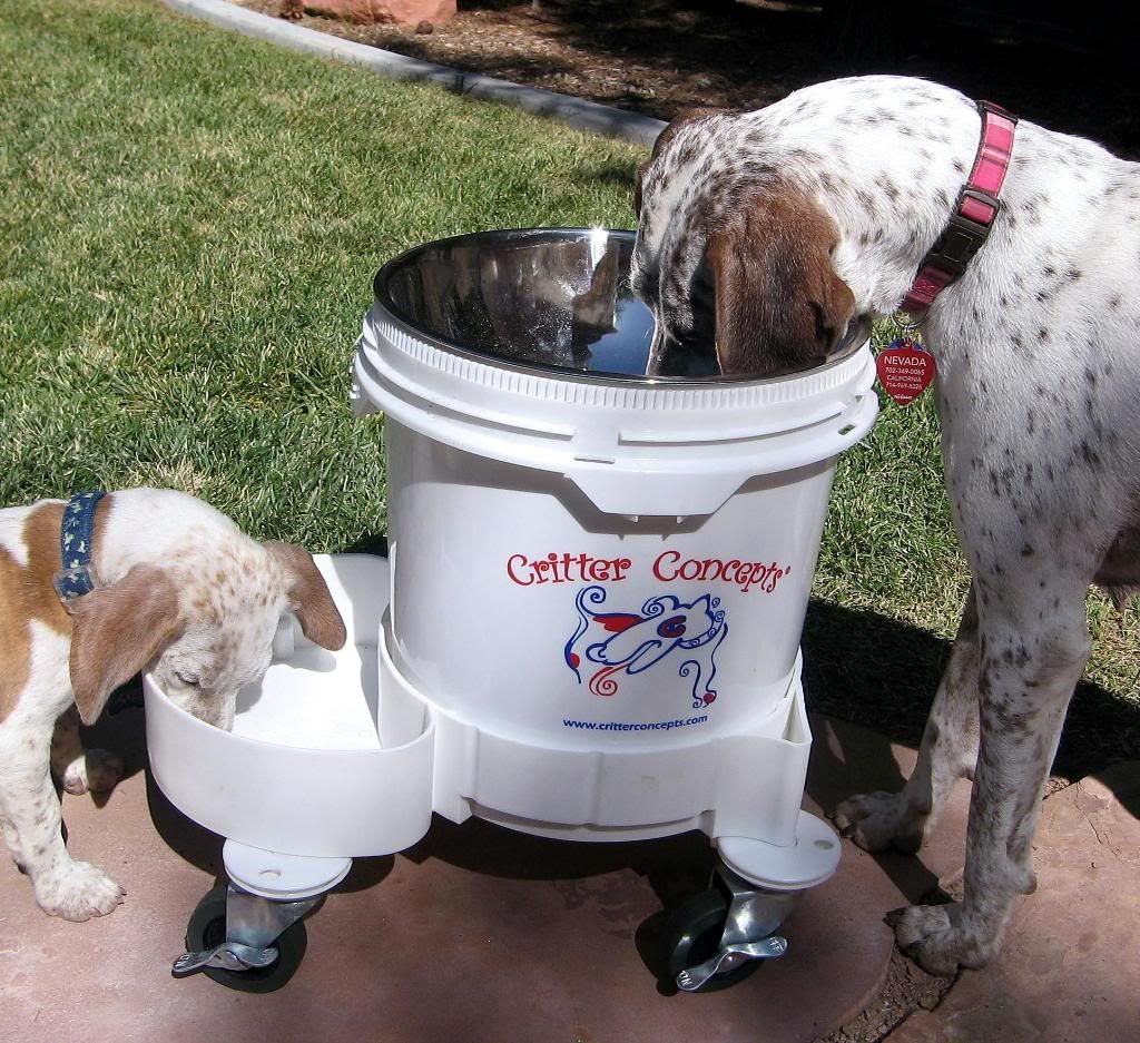 Critter Cooler