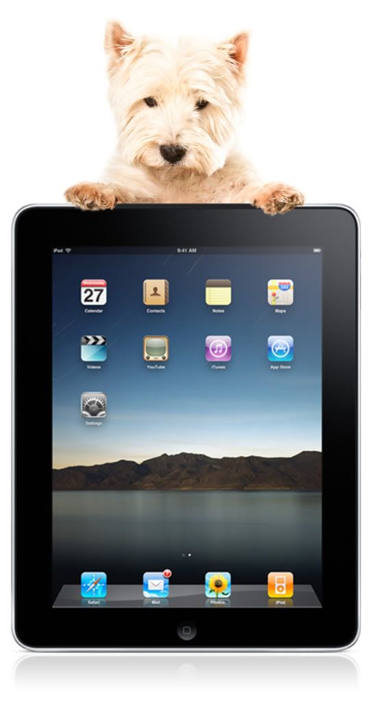 iPad Westie