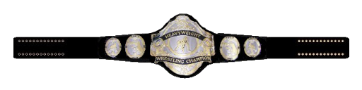 FCWHeayweightBelt1.png