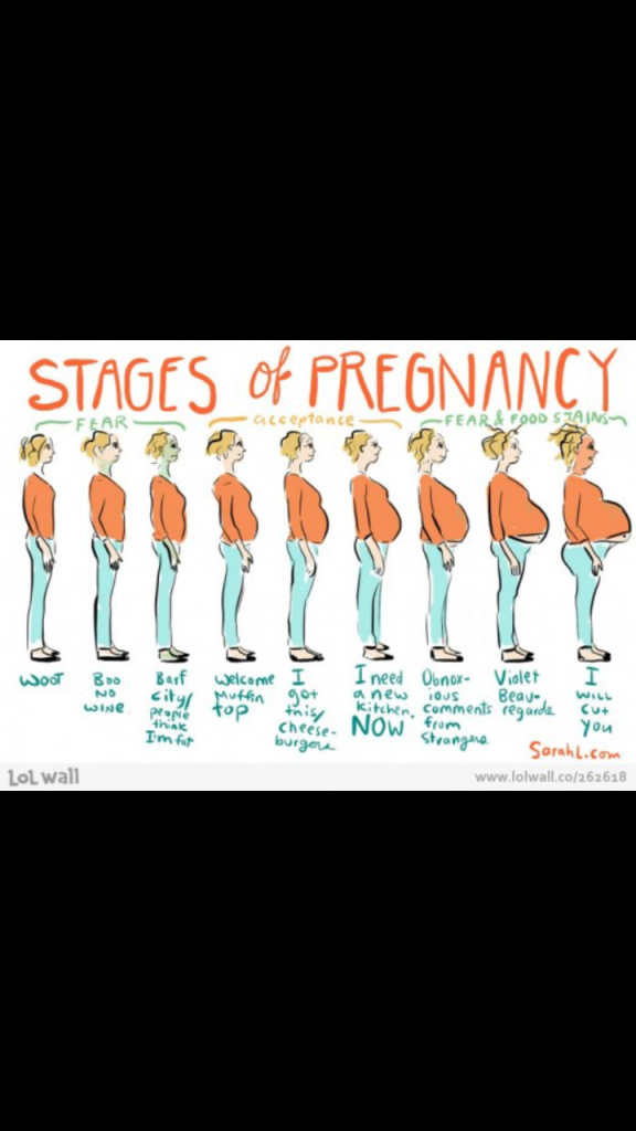 stages of pregnancy (pic....funny!) | BabyCentre