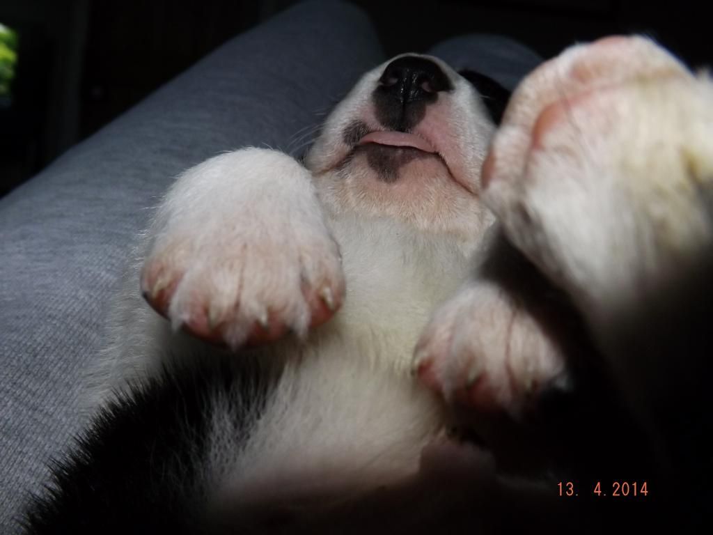 DSCF1225.jpg