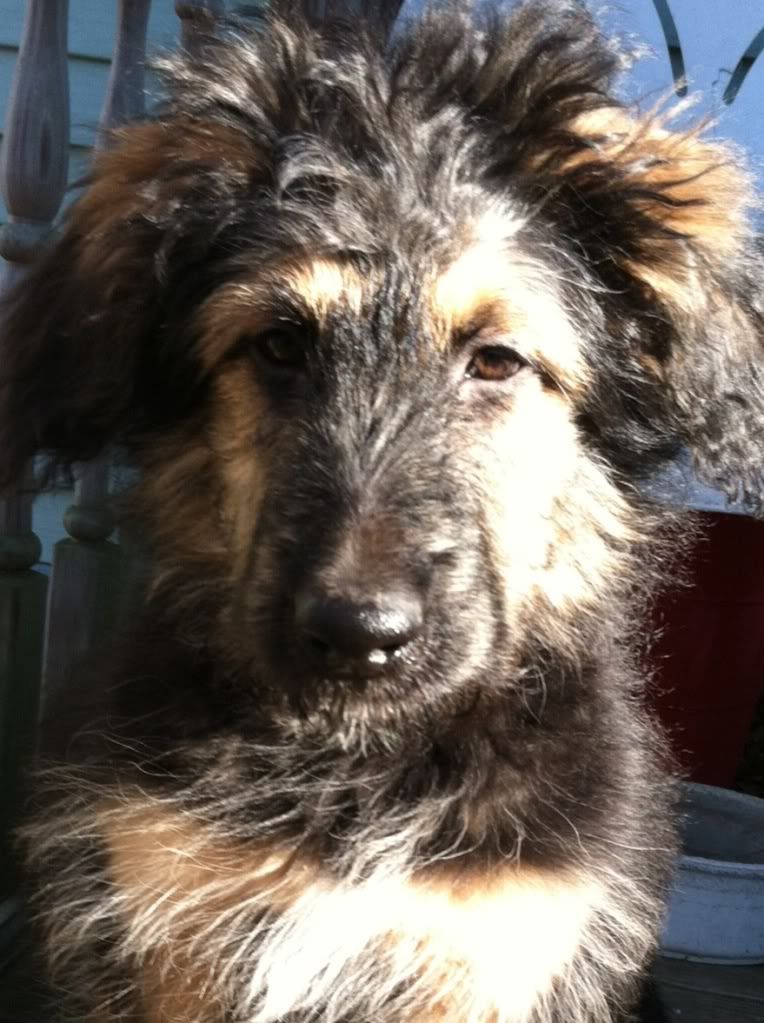 photo-4.jpg