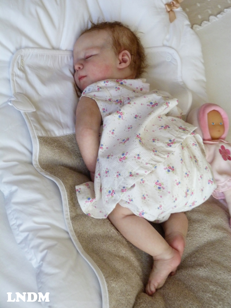 reborn baby dolls ebay