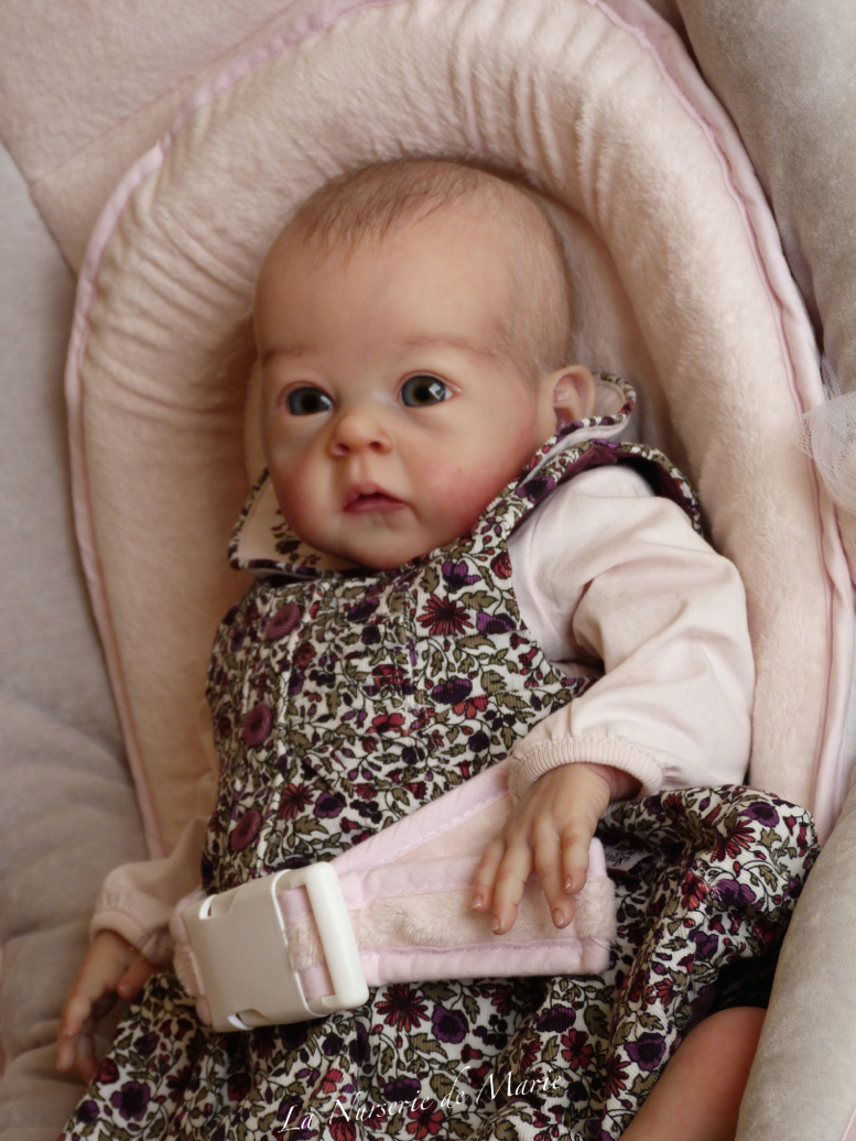 reborn doll ,baby, girl, Bonnie Brown, Saoirse, now kitty | eBay