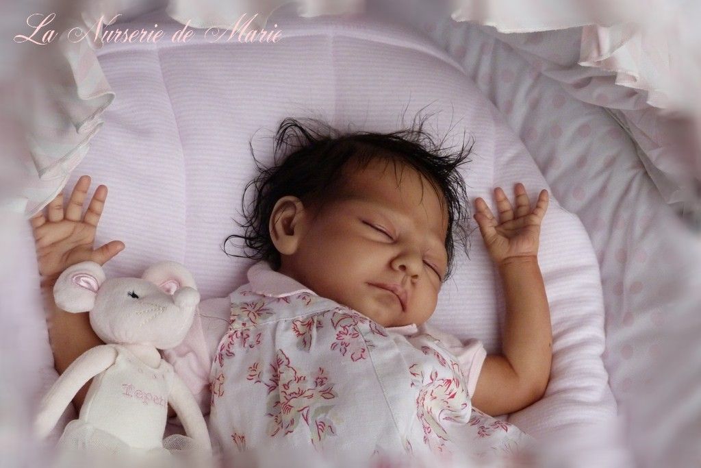 Reborn baby girl, doll, PROTOTYPE Danielle Zweers, twins eBay