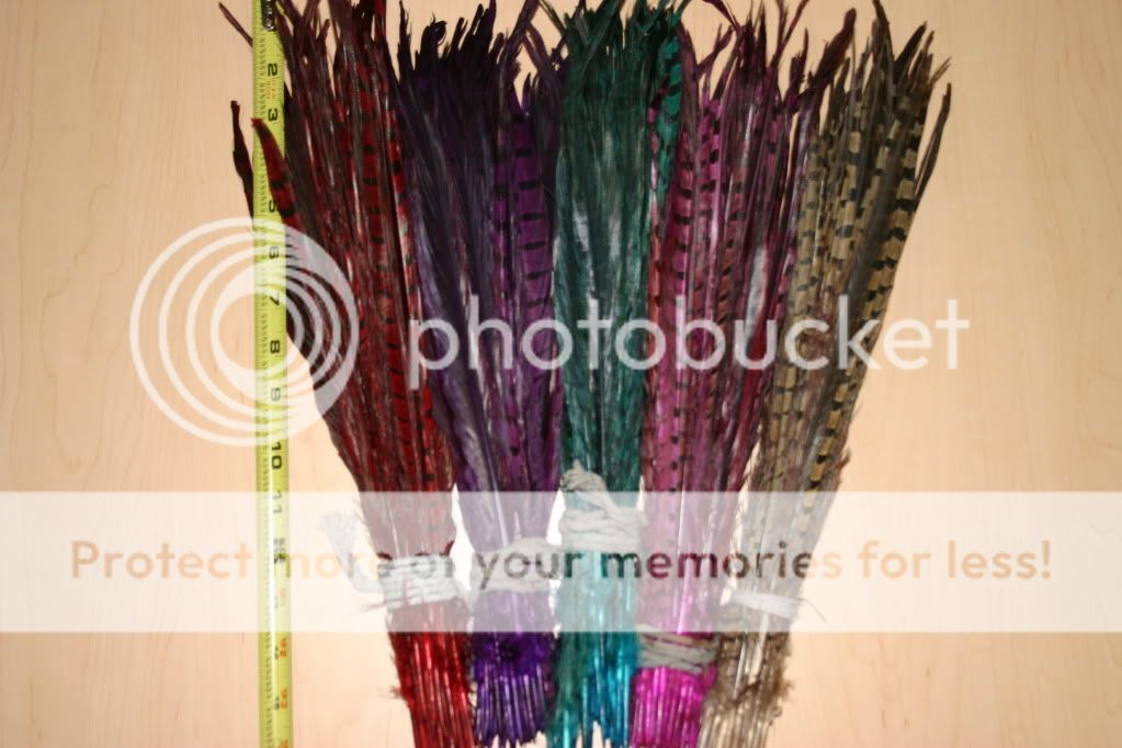 100 % natural pheasant bird feather hair extensions make new styles 