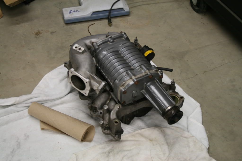 4 6 2v saleen eaton supercharger mustang and ford performance forums