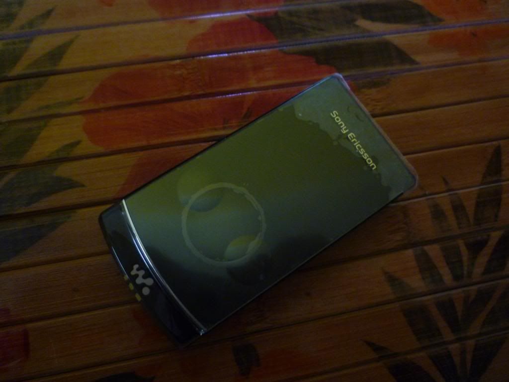 P1010633.jpg