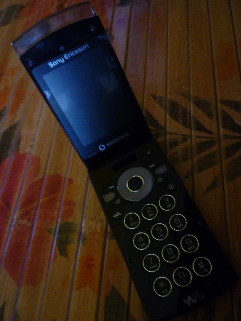 P1010634.jpg