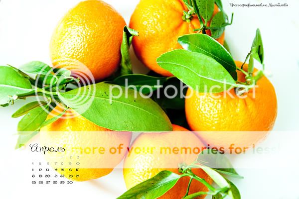 позитивные мандарины