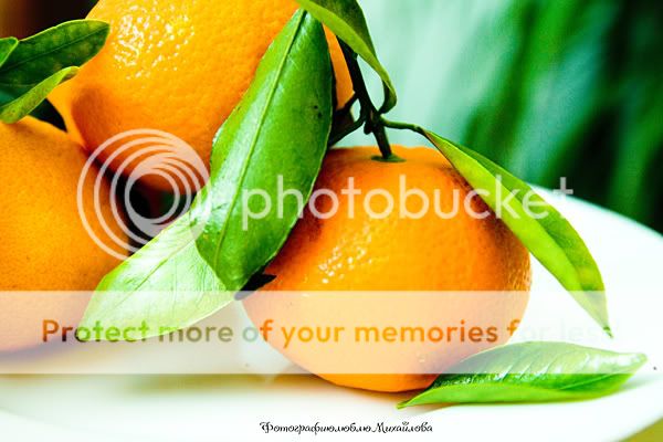 позитивные мандарины