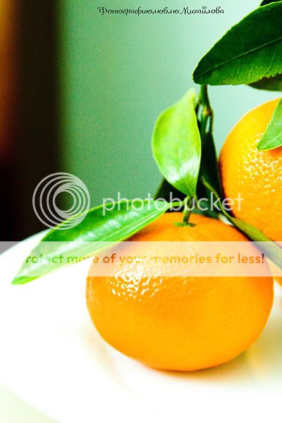 позитивные мандарины