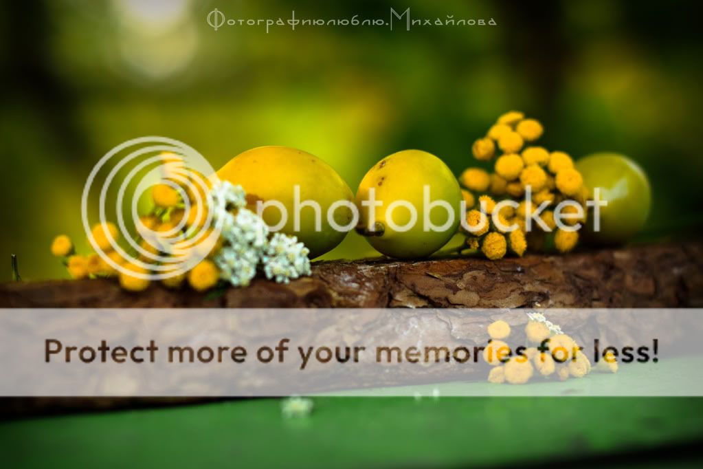 IMG_28762.jpg Дачное. picture by foto-lena